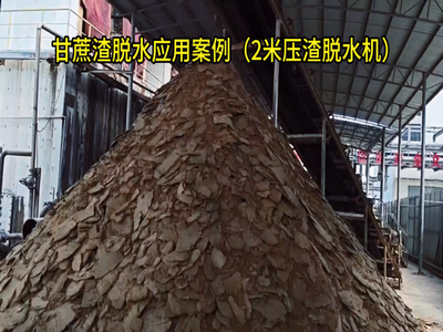 廣西甘蔗渣脫水應用